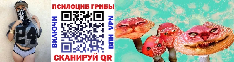 Псилоцибиновые грибы мицелий  Севастополь 