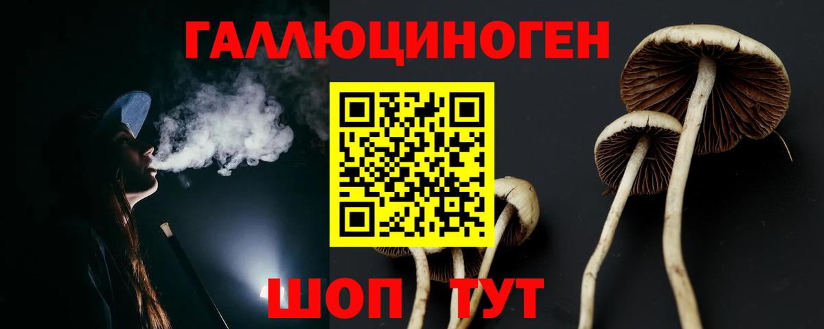 Псилоцибиновые грибы GOLDEN TEACHER Севастополь